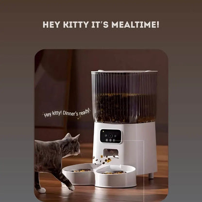 Mypetzi - Automatic Pet Feeder with Camera Wifi